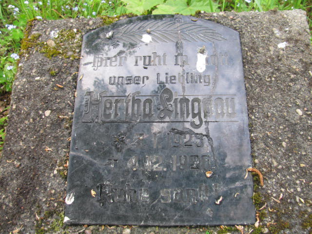 Hertha Lingpou 1925 Jedwabno - Grobonet - Wyszukiwarka osób pochowanych